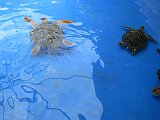 Curacao 04-12 218